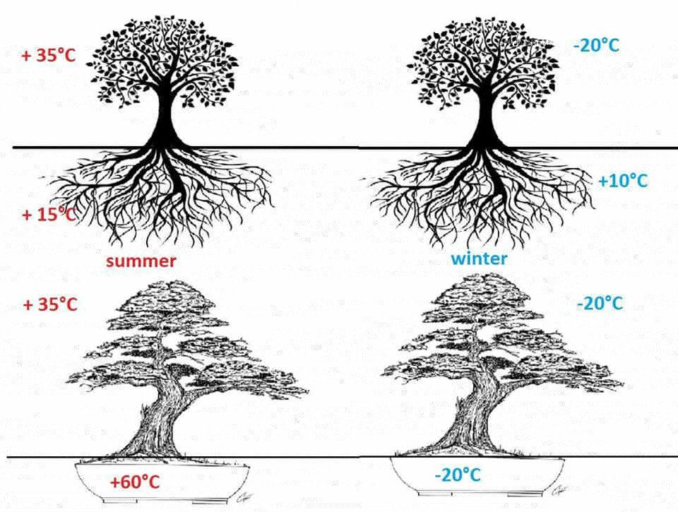 Temperatur.jpg